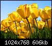 اضغط على الصورة لعرض أكبر

الاســـم:	Tulips.jpg
المشاهدات:	5
الحجـــم:	606.3 كيلوبايت
الرقم:	8363